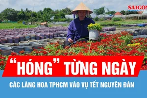 Các làng hoa TPHCM “hóng” thị trường Tết Nguyên đán Bính Ngọ