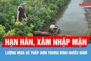 Phương án phòng chống hạn hán, xâm nhập mặn tại TPHCM