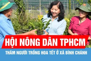 Lãnh đạo Hội Nông dân TPHCM thăm, động viên người trồng hoa tết xã Bình Chánh