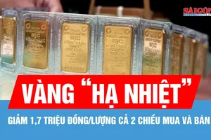 Chiều 29-1, giá vàng miếng SJC và vàng nhẫn 9999 cùng "hạ nhiệt"