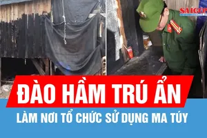 Chiếm 1.000m² đất để xây nhà chòi, đào hầm làm nơi tổ chức sử dụng ma túy