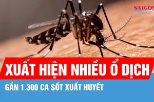 TPHCM ghi nhận gần 1.300 ca sốt xuất huyết trong vòng một tuần