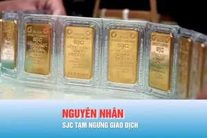 Podcast bản tin trưa 31-1: Vì sao SJC tạm ngưng giao dịch vàng miếng và vàng nhẫn tại TPHCM?