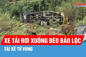 Lâm Đồng: Xe tải rơi xuống đèo Bảo Lộc, tài xế tử vong