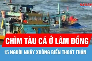 Lâm Đồng: Tàu cá chìm tại cửa cảng, 15 người nhảy xuống biển thoát thân