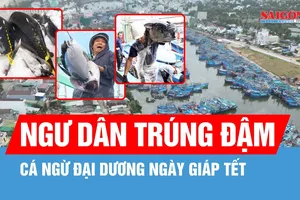 Ngư dân trúng cá ngừ đại dương những ngày giáp tết