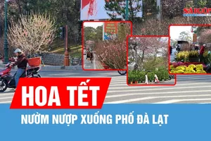 Hoa tết nườm nượp xuống phố Đà Lạt
