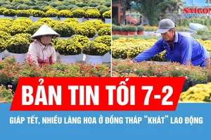 Bản tin tối 7-2: Nhiều làng hoa "khát" lao động; Quy định mới về xử phạt vi phạm hành chính