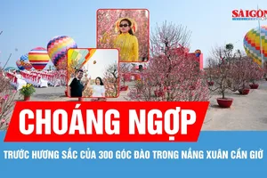 Người dân TPHCM hào hứng “check-in” với 300 gốc đào Bắc trong nắng xuân Cần Giờ