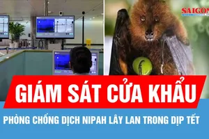 TPHCM: Giám sát cửa khẩu để phòng chống dịch Nipah