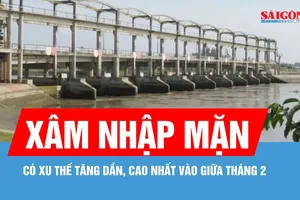 Vĩnh Long: Dự báo xâm nhập mặn tăng cao vào giữa tháng 2