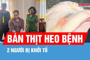 Bắt tạm giam 2 tiểu thương bán thịt heo nhiễm bệnh ra thị trường