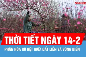 Thời tiết ngày 14-2: Bắc Bộ có mưa phùn và sương mù, trưa chiều hửng nắng
