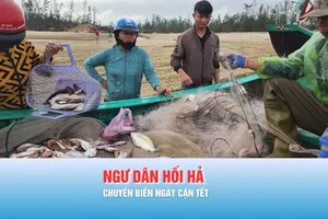 Podcast bản tin trưa 14-2: Ngư dân hối hả chuyến biển ngày cận tết