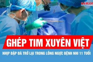Xuyên đêm vận chuyển trái tim từ Hà Nội về TPHCM cứu người