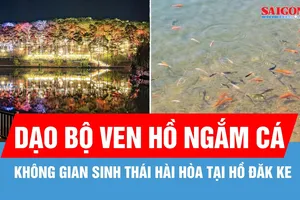 Quảng Ngãi: Thả 5.000 con cá xuống hồ Đăk Ke