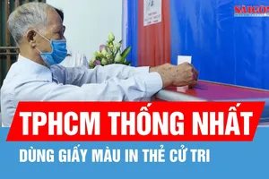 TPHCM thống nhất dùng giấy màu in thẻ cử tri