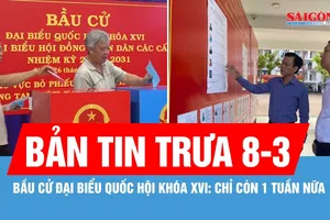 Bản tin trưa 8-3: Bầu cử đại biểu Quốc hội khóa XVI: Chỉ còn 1 tuần nữa