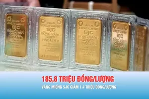 Podcast bản tin trưa 12-3: Giá vàng trong nước cao hơn giá thế giới hơn 22 triệu đồng/lượng