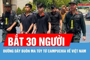 Công an TPHCM triệt phá đường dây buôn ma túy từ Campuchia về Việt Nam