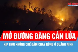 Gần 200 cán bộ, chiến sĩ khống chế đám cháy rừng ở Quảng Ninh