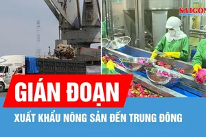 Gián đoạn xuất khẩu nông sản đến Trung Đông