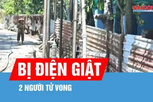 Cà Mau: 2 người bị điện giật tử vong khi thi công tường rào