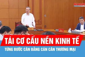 Cần có chiến lược cụ thể tái cơ cấu nền kinh tế, từng bước cân bằng cán cân thương mại