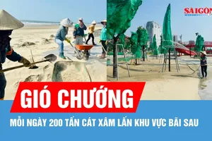 Gió chướng - Mỗi ngày 200 tấn cát xâm lấn khu vực Bãi Sau