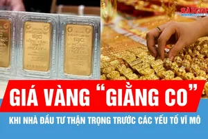 Chuyên gia phân tích diễn biến giá vàng trong bối cảnh hiện nay