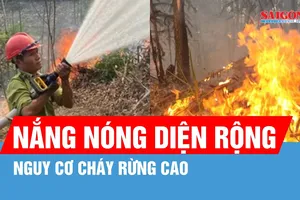 Nắng nóng diện rộng, nguy cơ cháy rừng cao