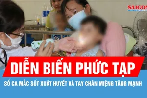 ĐBSCL: Số ca sốt xuất huyết và tay chân miệng tăng mạnh, ghi nhận 1 ca tử vong