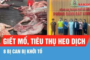 Hà Nội: Khởi tố 8 bị can trong đường dây giết mổ, tiêu thụ heo dịch
