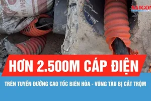 Hơn 2.500m cáp điện trên tuyến đường cao tốc Biên Hòa - Vũng Tàu bị cắt trộm