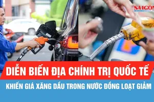 Giá dầu diesel giảm gần 14%