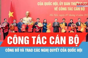 Công bố và trao các nghị quyết của Quốc hội về công tác cán bộ