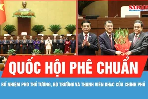 Quốc hội phê chuẩn việc bổ nhiệm Phó Thủ tướng, bộ trưởng và thành viên khác của Chính phủ 
