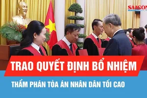 Trao quyết định bổ nhiệm Thẩm phán Tòa án nhân dân tối cao