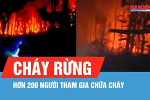 Hàng trăm người tham gia chữa cháy rừng ở Nghệ An
