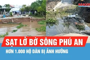 Đồng Tháp: Sạt lở bờ sông Phú An, hơn 1.000 hộ dân đi lại khó khăn