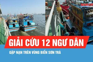 Ứng cứu tàu cá bị thủng đáy trên vùng biển Sơn Trà