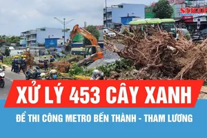 Xử lý 453 cây xanh để thi công metro Bến Thành - Tham Lương