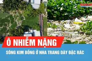 Sông Kim Bồng ở Nha Trang ô nhiễm nặng