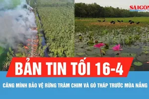 Bản tin tối 16-4: Căng mình bảo vệ rừng Tràm Chim và Gò Tháp trước mùa nắng