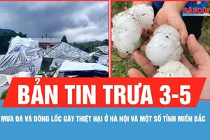 Bản tin trưa 3-5: Mưa đá và dông lốc gây thiệt hại ở Hà Nội và một số tỉnh miền Bắc