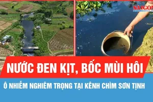 Quảng Ngãi: Xác định nguyên nhân ô nhiễm kênh chìm Sơn Tịnh