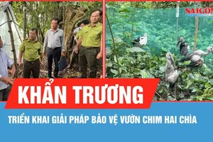 Vĩnh Long: Triển khai giải pháp bảo vệ vườn chim Hai Chìa