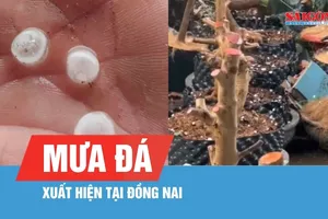Đồng Nai xuất hiện mưa đá