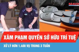 Trong 3 tuần, xử lý hơn 1.400 vụ xâm phạm quyền sở hữu trí tuệ