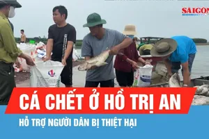 Hỗ trợ người dân bị thiệt hại do cá chết ở hồ Trị An